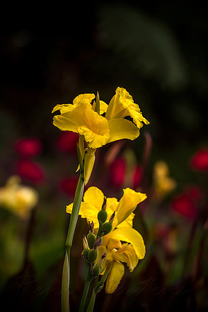 2013_03_31_00028475