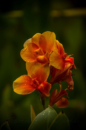 2013_03_31_00028474