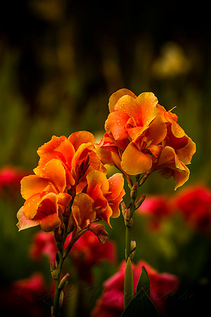 2013_03_31_00028472