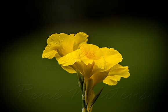 2013_03_31_00028468