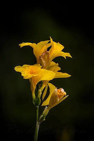 2013_03_31_00028463