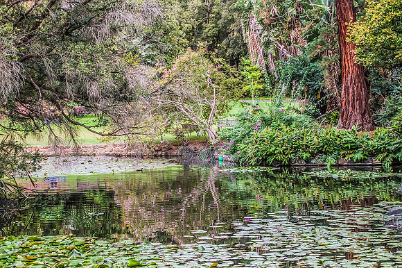 2013_03_31_00028459_60_61_tonemapped