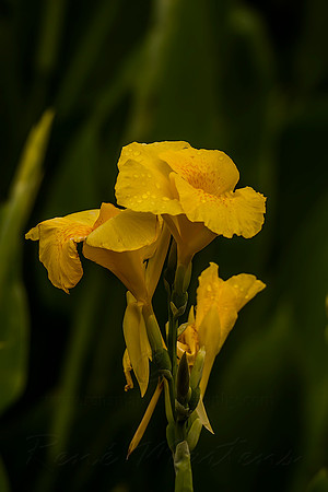 2013_03_31_00028453