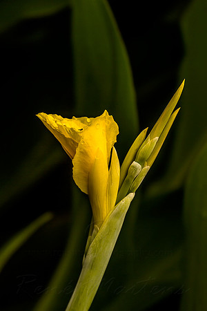 2013_03_31_00028452