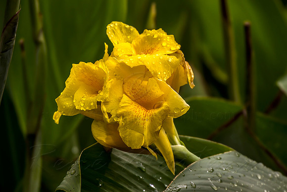 2013_03_31_00028451
