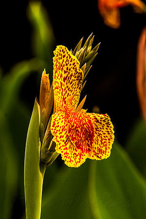 2013_03_31_00028446
