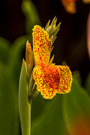 2013_03_31_00028445