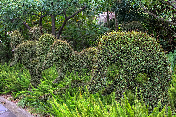 2013_03_31_00028418_19_20_tonemapped