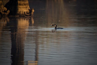 2017_05_11_00049632