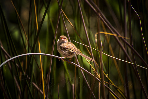2016_02_18_00004444