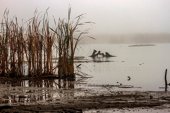 2013_04_15_00030881