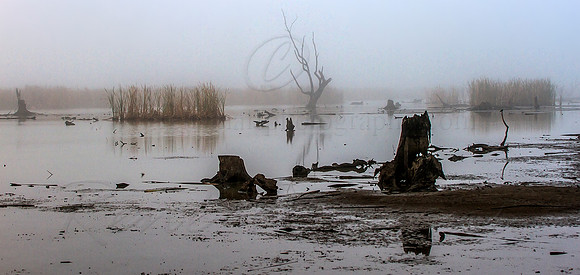 2013_04_15_00030885