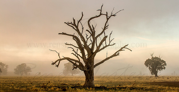 Untitled_Panorama1