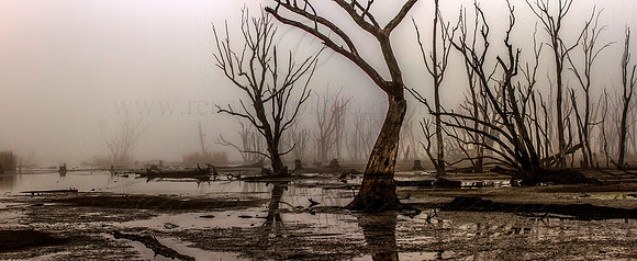 Untitled_Panorama2