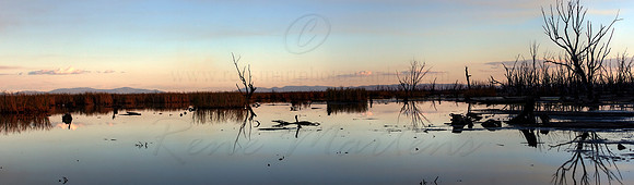 Sunset at Winton Wetlands 1