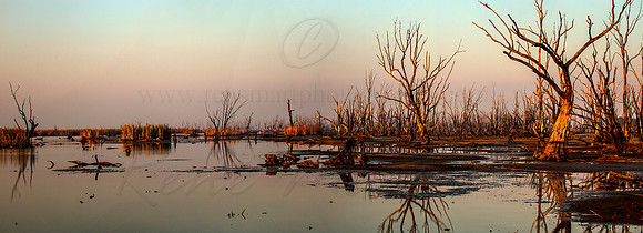 Winton Wetlands
