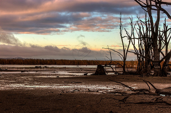 2013_04_23_00031973_4_5_tonemapped