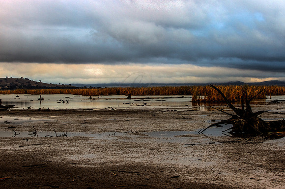 2013_04_23_00031967_8_9_tonemapped