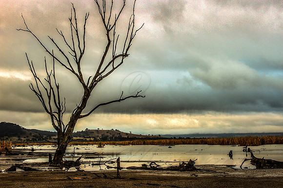 2013_04_23_00031964_5_6_tonemapped