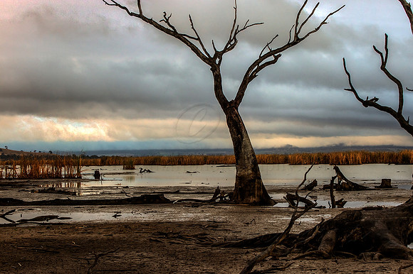 2013_04_23_00031952_3_4_tonemapped