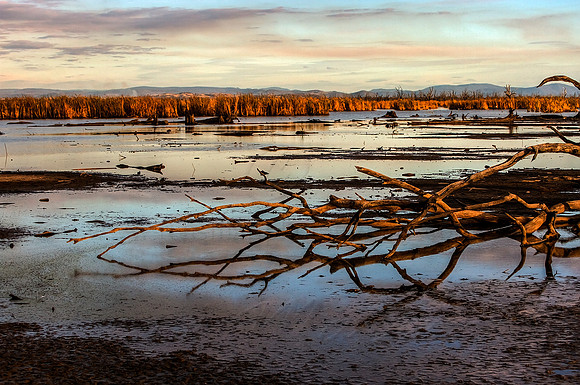 2013_04_24_00032224_5_6_tonemapped