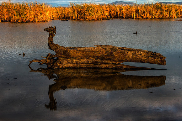 2013_04_24_00032215_6_7_tonemapped