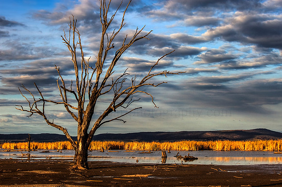2013_04_24_00032197_8_9_tonemapped