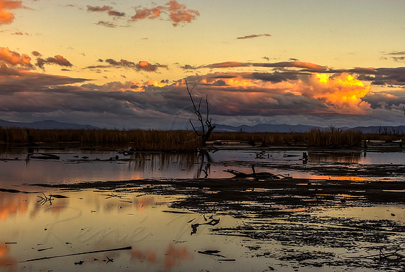 2013_05_13_00033469_70_71_tonemapped
