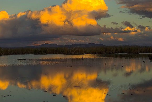 2013_05_13_00033454_5_6_tonemapped