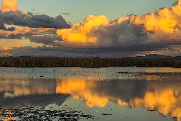 2013_05_13_00033448_49_50_tonemapped
