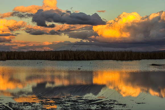 2013_05_13_00033445_6_7_tonemapped