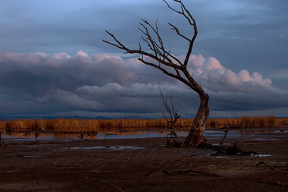 2013_05_14_00033190