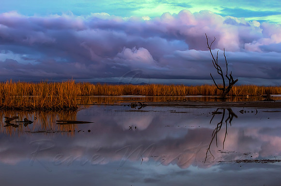 2013_05_14_00033155_6_7_tonemapped