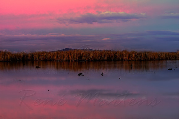 2013_05_14_00033152_3_4_tonemapped