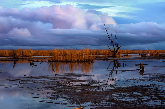 2013_05_14_00033149_50_51_tonemapped