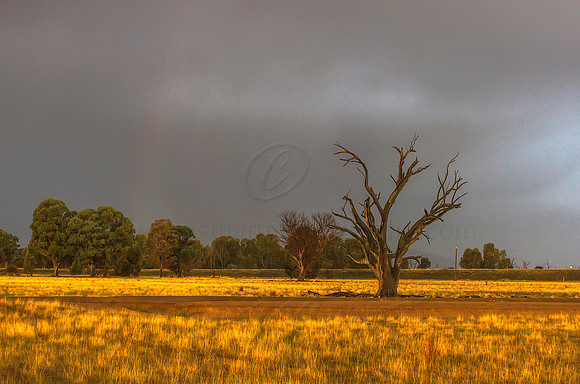 2013_05_16_00033193_4_5_tonemapped