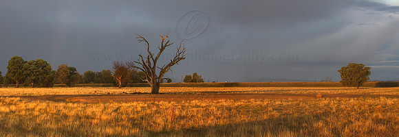 Untitled_Panorama1