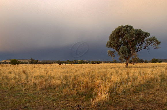 2013_05_16_00033239_40_41_tonemapped