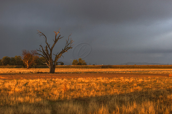 2013_05_16_00033202_3_4_tonemapped