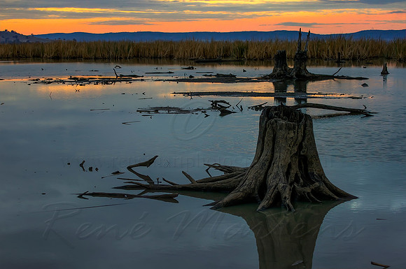 2013_05_20_00033274_5_6_tonemapped