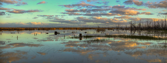 Wetlands reflected