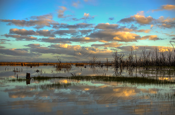 2013_08_15_00048645_6_7_8_9_tonemapped