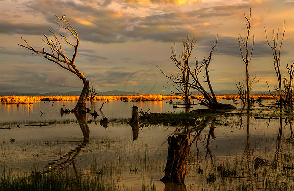 2013_08_26_00053809_10_11_12_13_tonemapped
