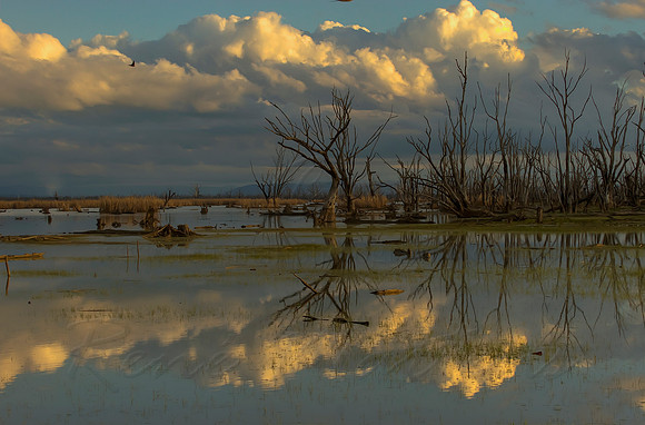 2013_07_29_00045140_1_2_tonemapped
