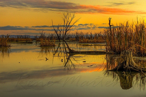 2013_05_21_00033353_4_5_tonemapped_tonemapped