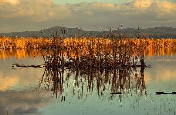 2013_08_15_00048595_6_7_8_9_tonemapped