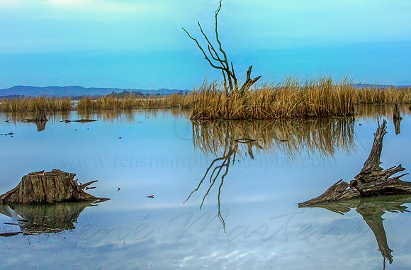 2013_07_27_00045099_100_101_tonemapped