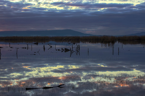 2013_08_01_00045616_7_8_tonemapped