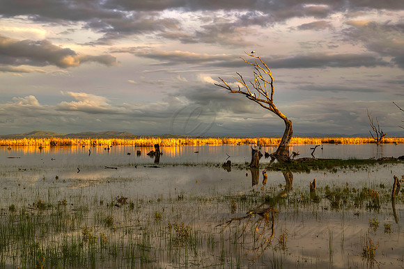 2013_08_26_00053799_800_801_802_803_tonemapped