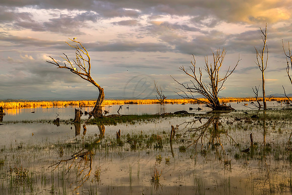 2013_08_26_00053779_80_81_82_83_tonemapped